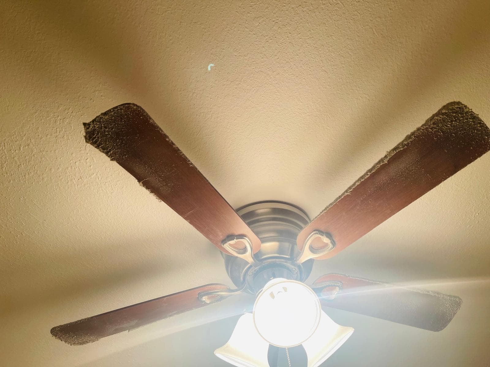 Amieva Cleaning Service work photo 10
