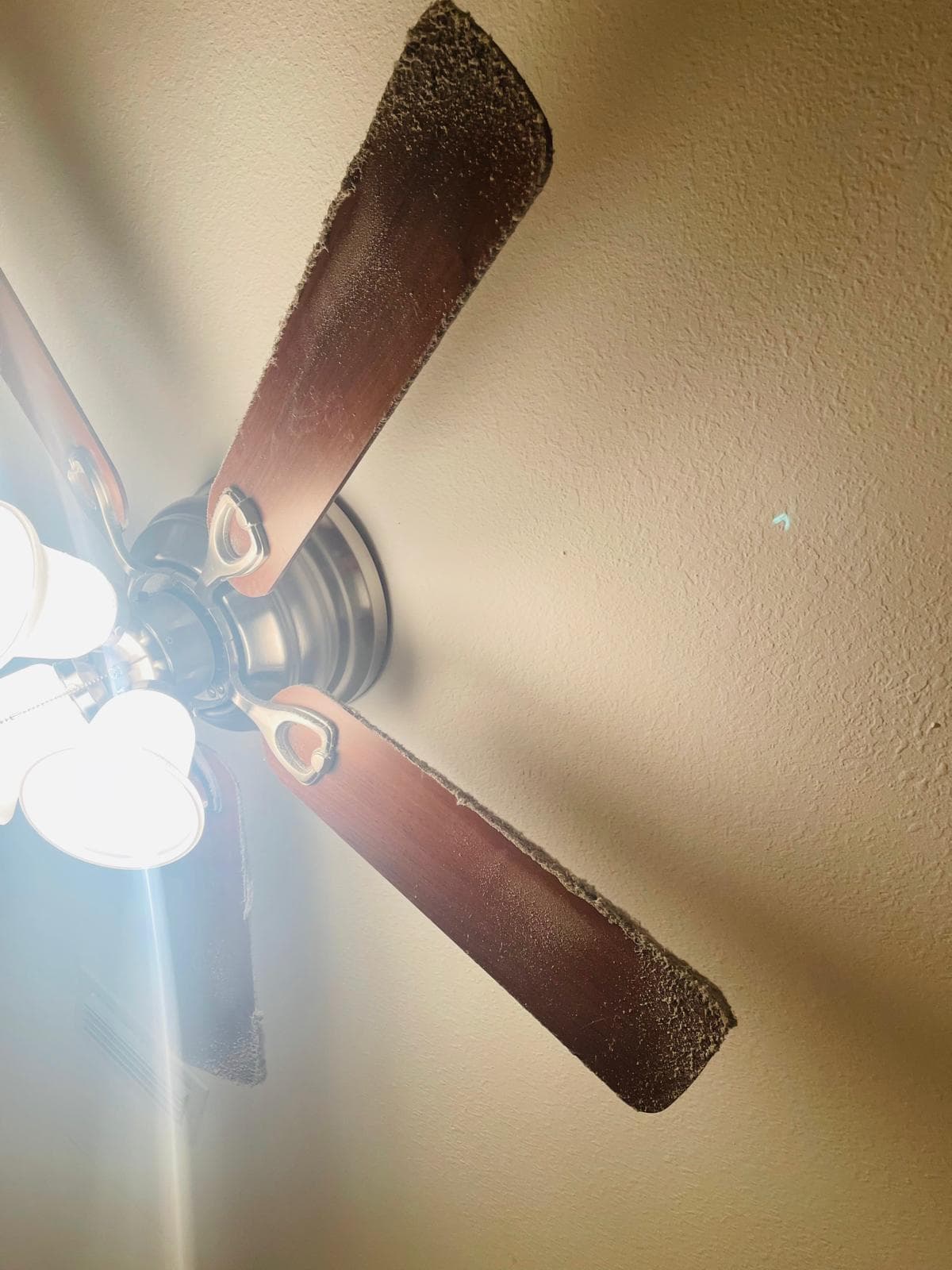 Amieva Cleaning Service work photo 11