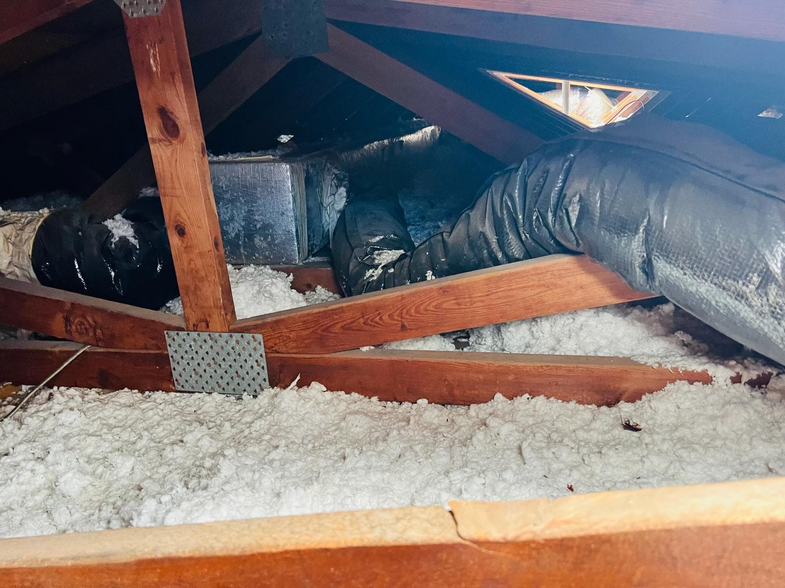Amieva Cleaning Service work photo 45